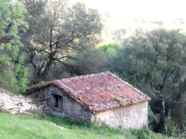 Rustic farm for sale in Asiego, cabrales , Cabrales thumbnail 2