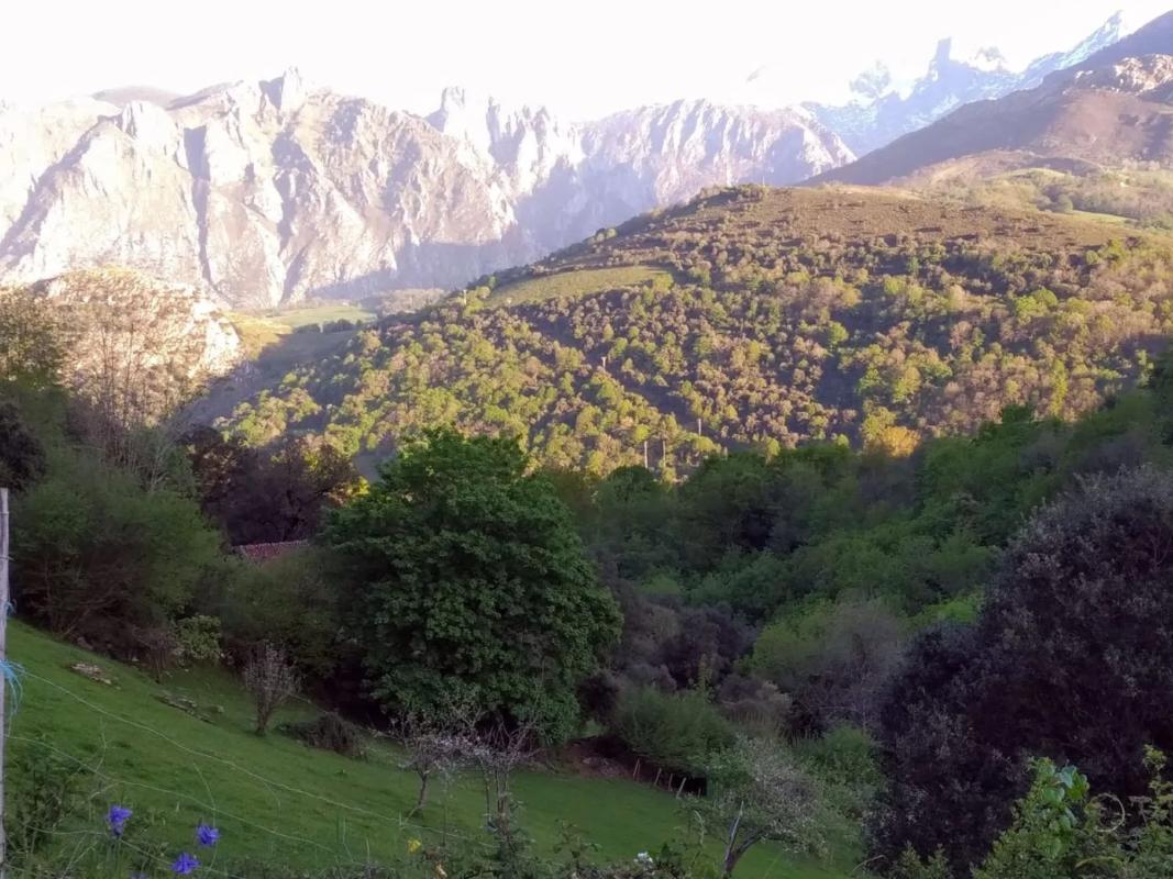 Venta de finca rústica en  Asiego, cabrales , Cabrales photo 4
