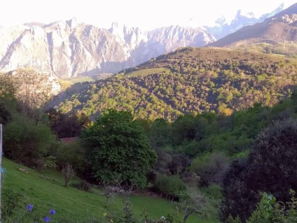 Rustic farm for sale in  Asiego, cabrales , Cabrales photo 4