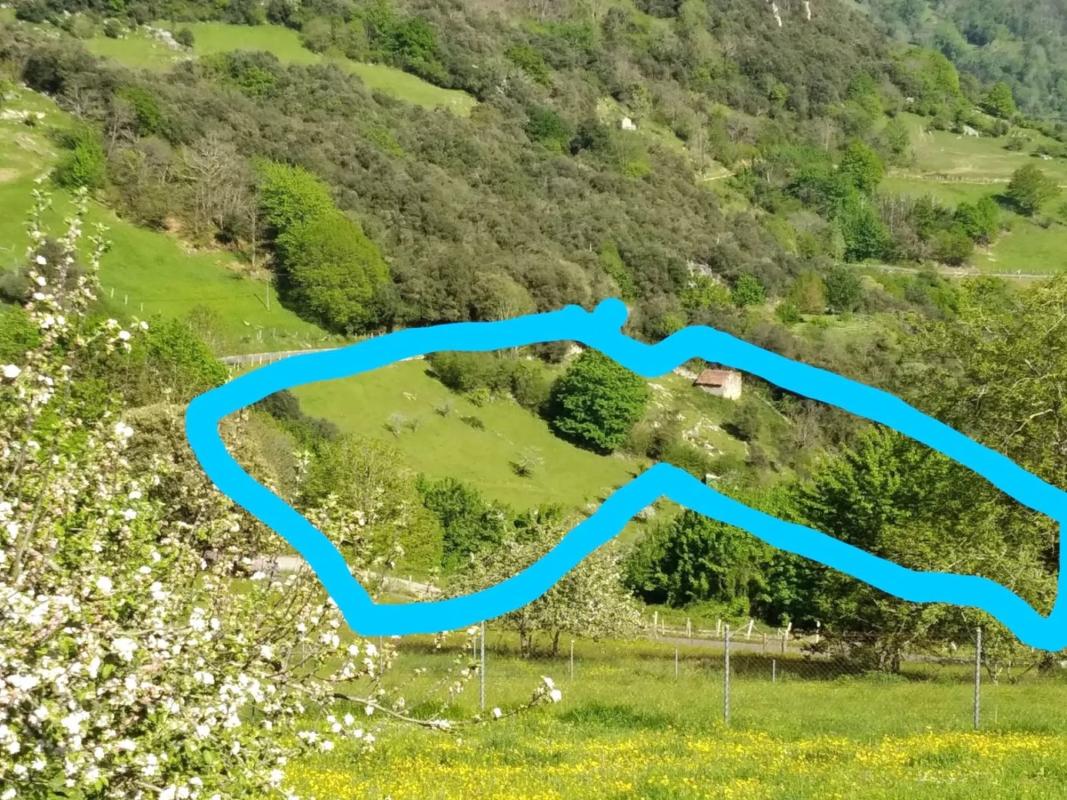 Venta de finca rústica en  Asiego, cabrales , Cabrales photo 5