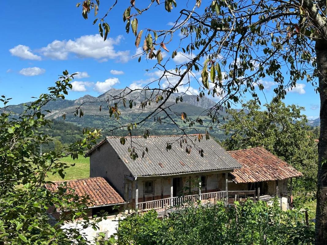 Properties for sale and rent in Spain photo 2