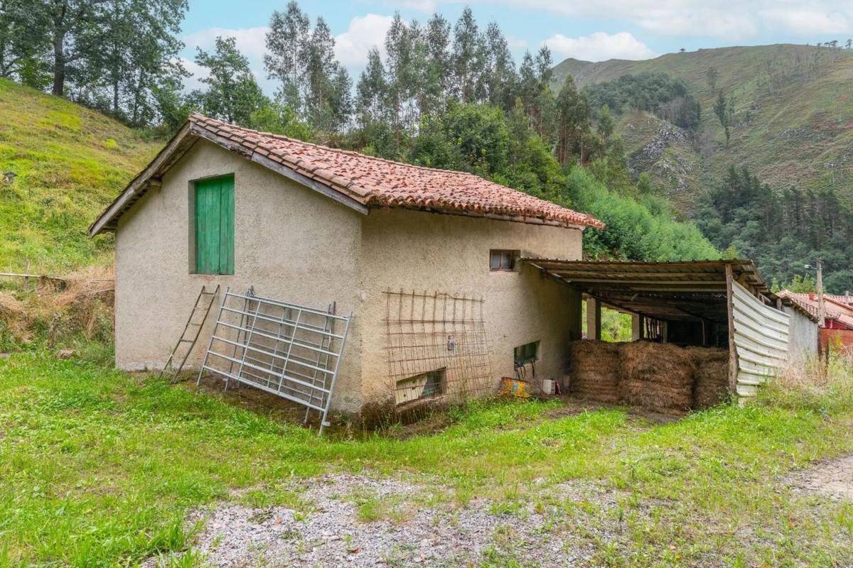 Properties for sale and rent in Spain photo 3
