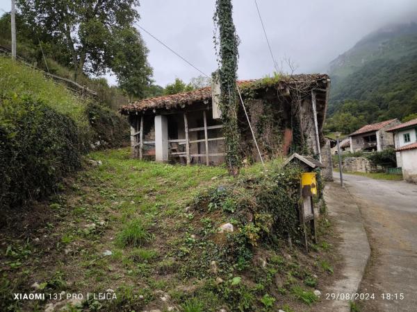 Casa independiente photo 2