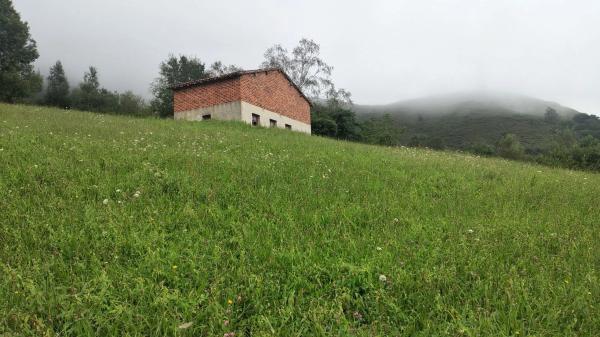 Rustic farm for sale in Carretera el pedroso s/n , Onís photo 1