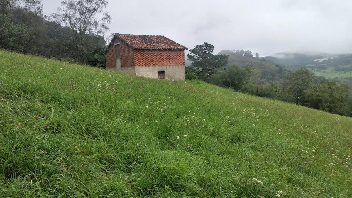 Venta de finca rústica en  Carretera el pedroso s/n , Onís photo 2