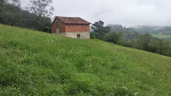 Rustic farm for sale in Carretera el pedroso s/n , Onís thumbnail 1