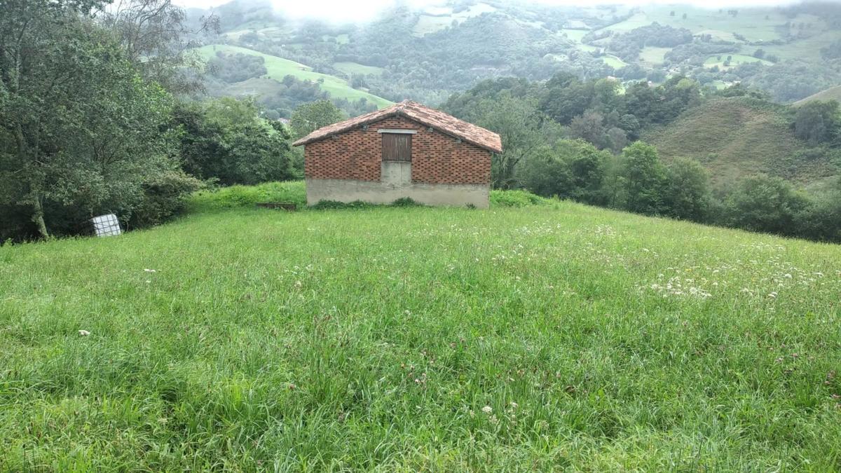Venta de finca rústica en  Carretera el pedroso s/n , Onís photo 3