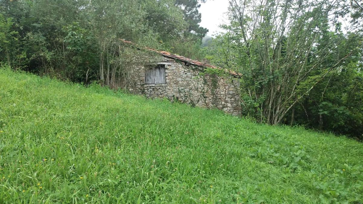 Venta de finca rústica en  Carretera el pedroso s/n , Onís photo 4