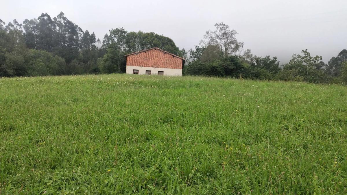 Venta de finca rústica en  Carretera el pedroso s/n , Onís photo 5