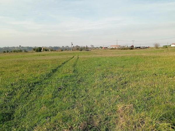 Finca rústica en venta en  Colunga , Colunga photo 2