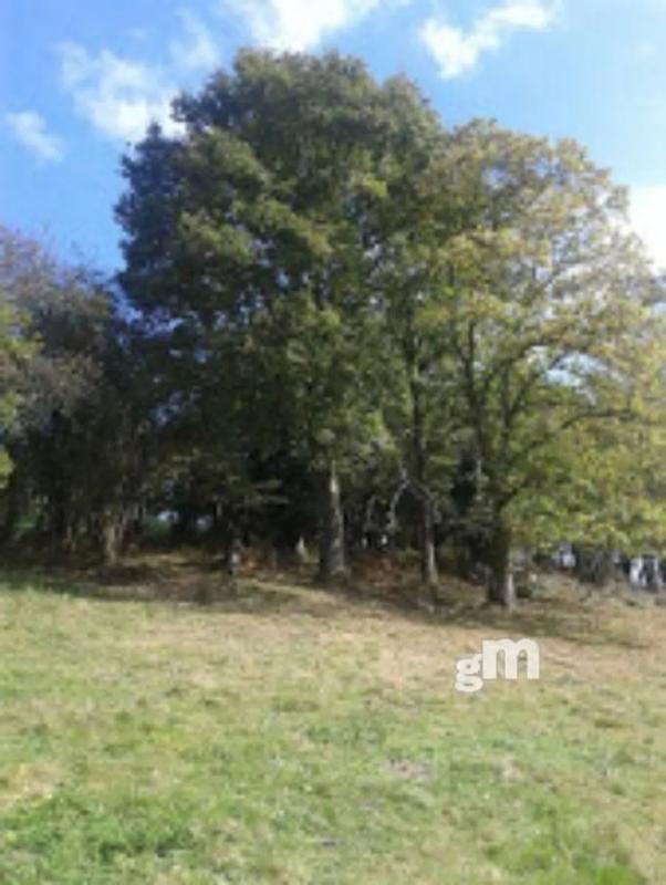 Venta de finca rústica en Parres , Parres photo 5