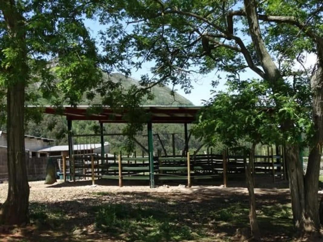 Venta de finca rústica en  Colunga , Colunga photo 3