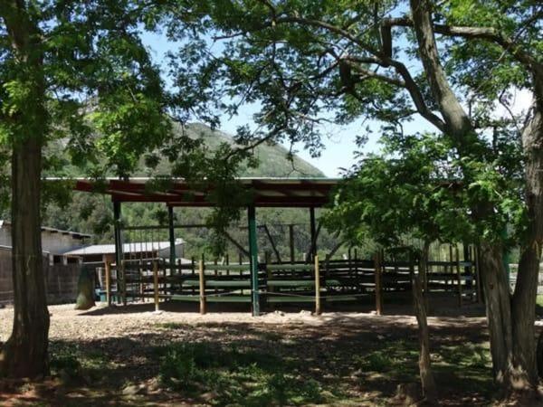 Finca rústica en venta en  Colunga , Colunga photo 3