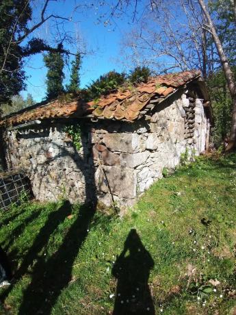 Rustic farm for sale in Abamia s/n Cuetualeoa , Cangas de Onís photo 1