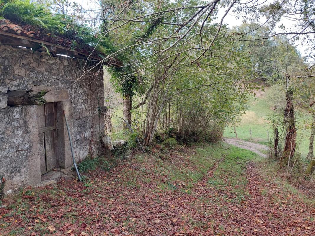 Venta de finca rústica en Abamia s/n Cuetualeoa , Cangas de Onís photo 3