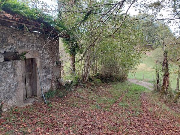 Rustic farm for sale in Abamia s/n Cuetualeoa , Cangas de Onís thumbnail 2