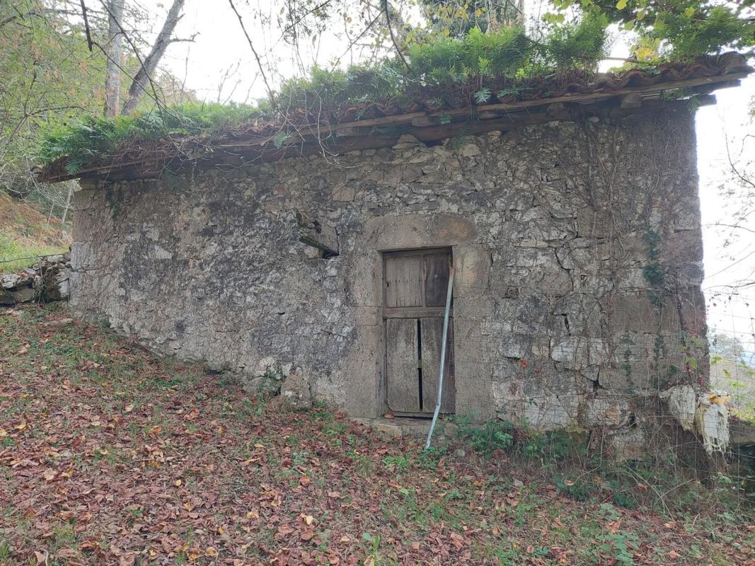 Venta de finca rústica en Abamia s/n Cuetualeoa , Cangas de Onís photo 5