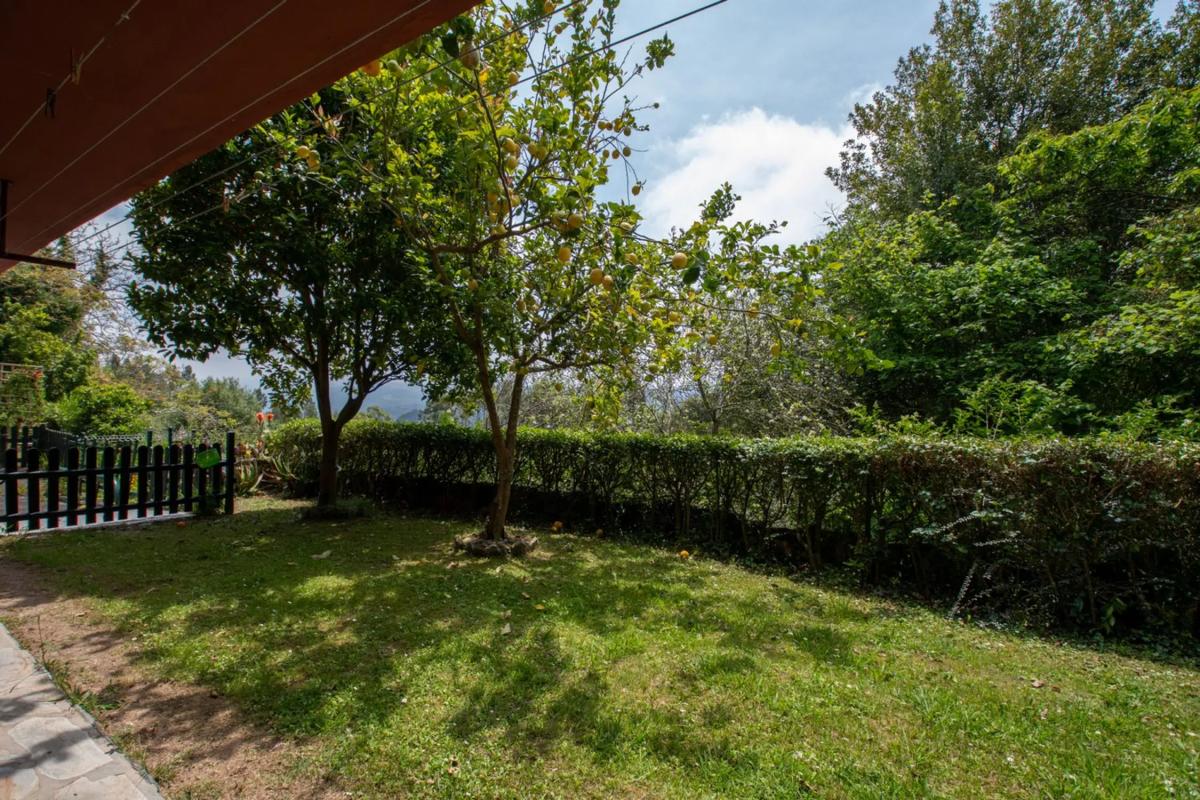 Properties for sale and rent in Spain photo 5