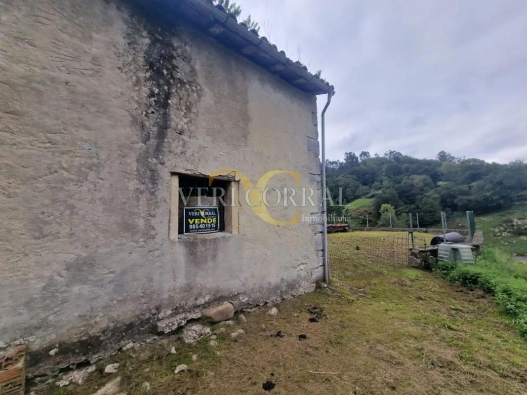 Propiedades en venta y alquiler en España photo 2