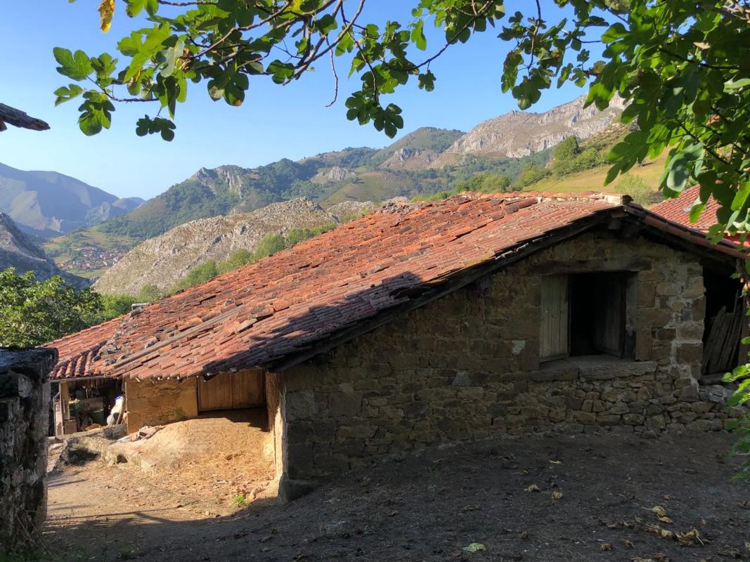 Venta de finca rústica en Poblado Argolibio, 44 A , Amieva photo 1
