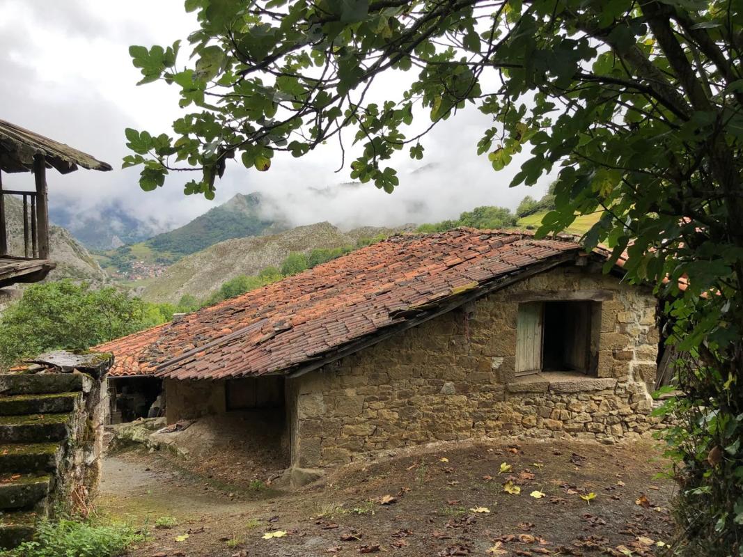 Venta de finca rústica en Poblado Argolibio, 44 A , Amieva photo 4