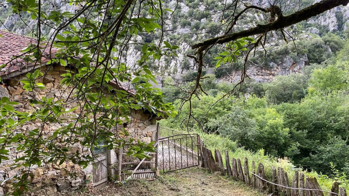Propiedades en venta y alquiler en España photo 4