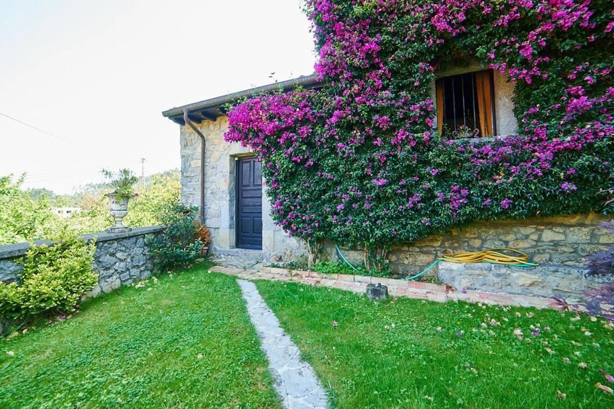 Properties for sale and rent in Spain photo 1
