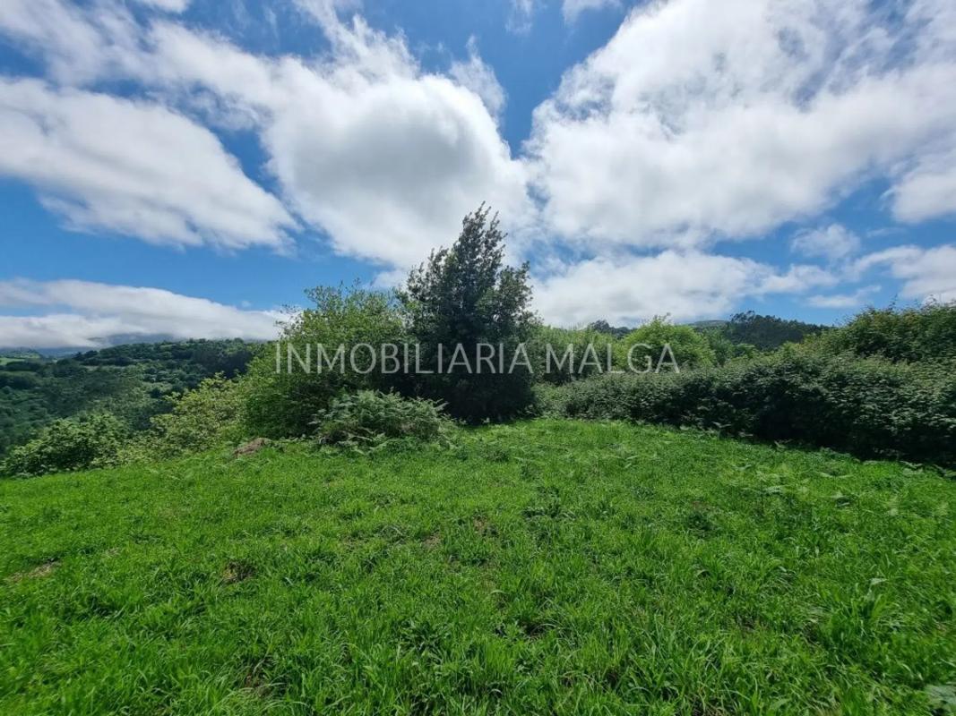 Недвижимость на продажу и в аренду в Испании photo 2