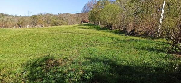 Finca rustykalna na sprzedaż w Calle Puertas de cabrales s/n , Cabrales thumbnail 2