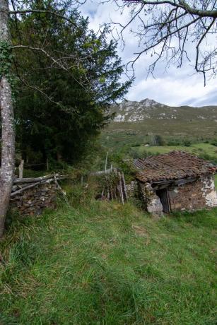 Rustic farm for sale in  PI-4 s/n , Piloña photo 3