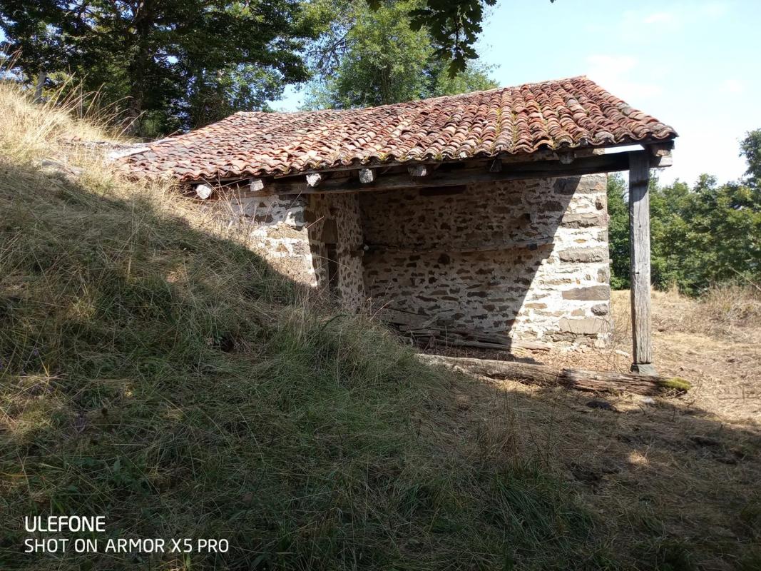 Propiedades en venta y alquiler en España photo 3