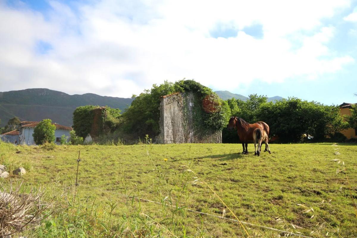 Propiedades en venta y alquiler en España photo 3