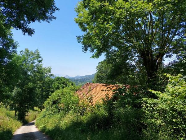 Finca rustykalna na sprzedaż w  Onceño s/n , Onís photo 4