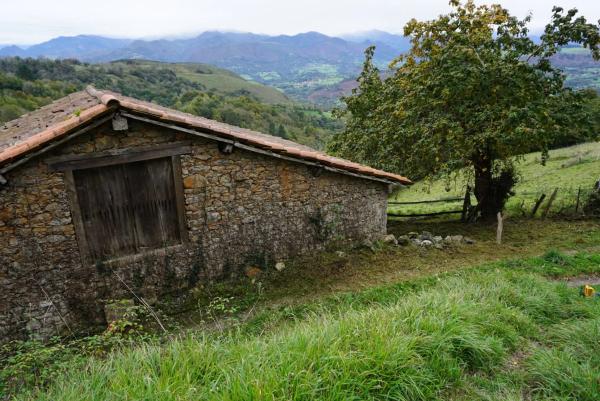 Finca rustykalna na sprzedaż w  Lugar Sieres, 18 , Piloña photo 4