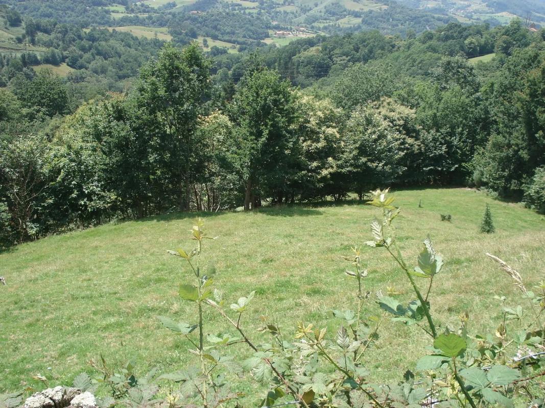 Venta de finca rústica en  Lugar San Martin, 20 , Cangas de Onís photo 2