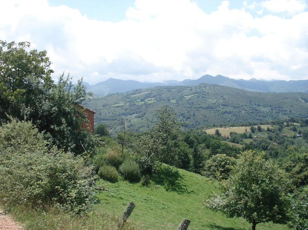 Venta de finca rústica en  Lugar San Martin, 20 , Cangas de Onís photo 3