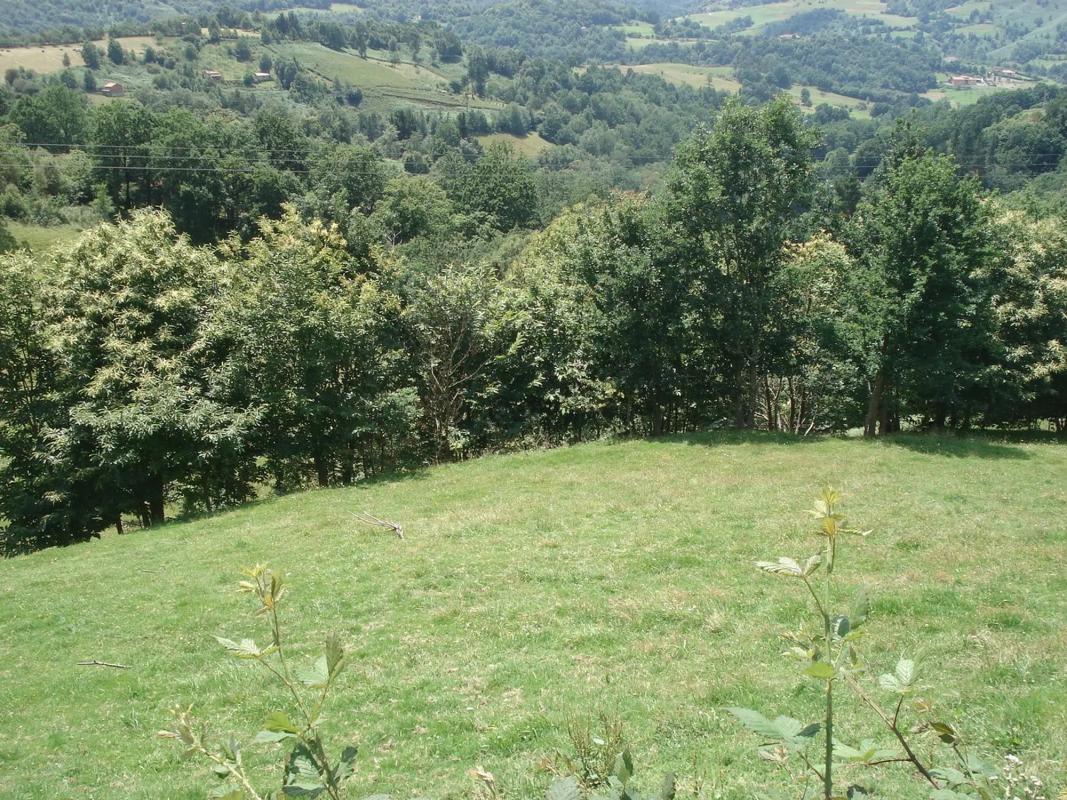 Venta de finca rústica en  Lugar San Martin, 20 , Cangas de Onís photo 5