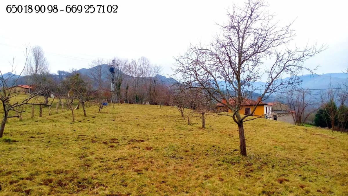 Propiedades en venta y alquiler en España photo 5