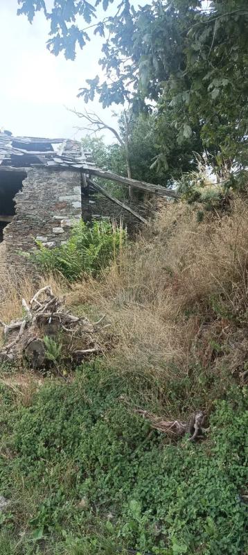 Properties for sale and rent in Spain photo 2