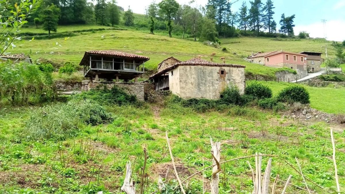 Propiedades en venta y alquiler en España photo 1