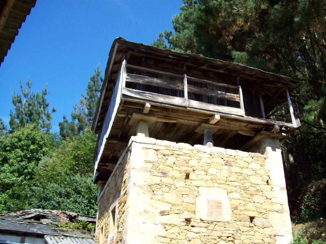 Venta de finca rústica en  Poligono 303, parcela 321-322, 321 -322 , Tineo photo 2
