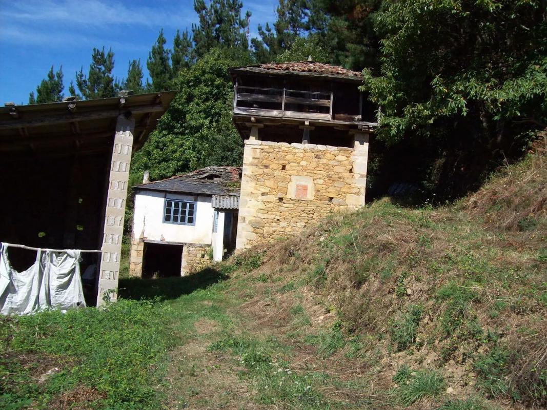 Venta de finca rústica en  Poligono 303, parcela 321-322, 321 -322 , Tineo photo 5