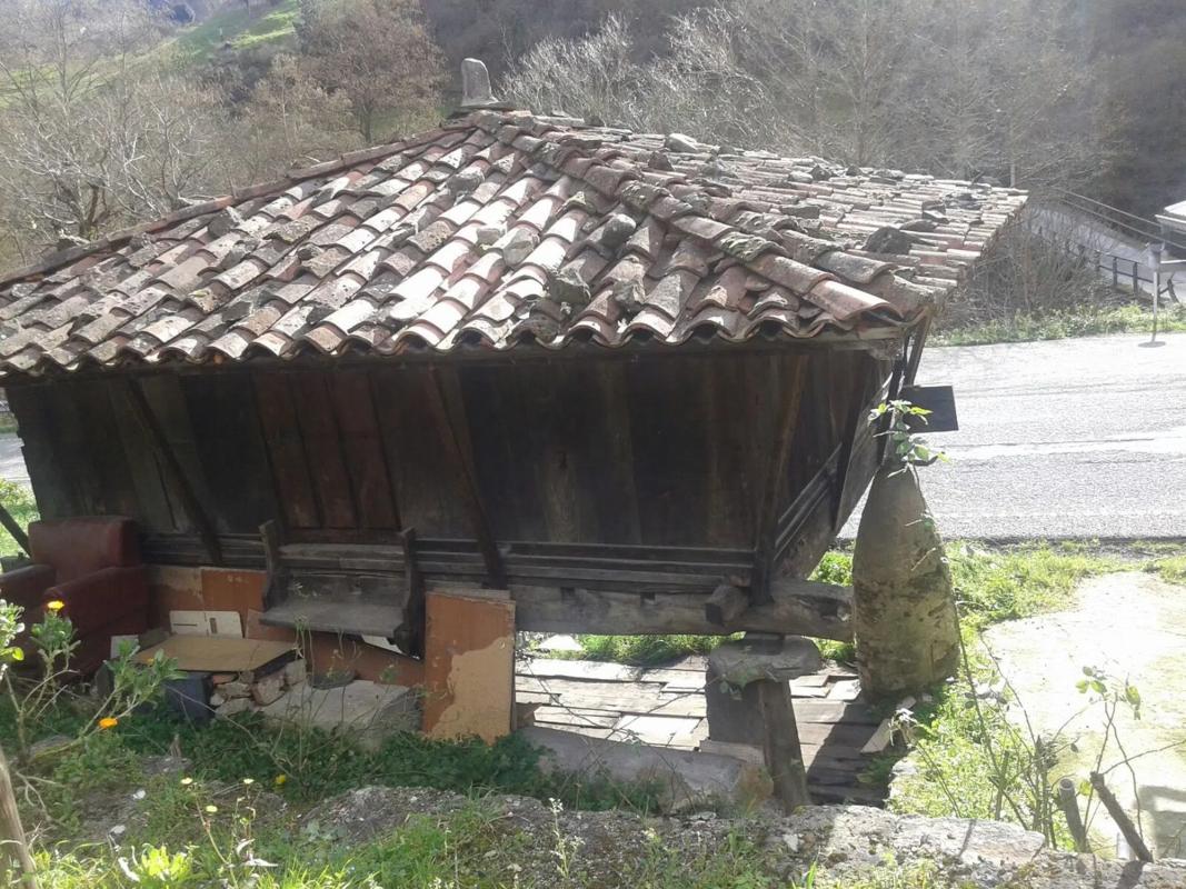 Propiedades en venta y alquiler en España photo 5