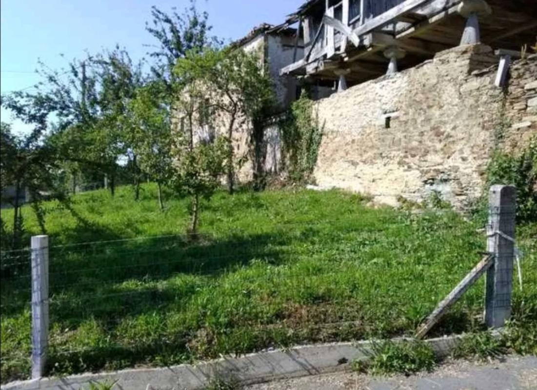 Venta de finca rústica en Francos s/n , Tineo photo 1
