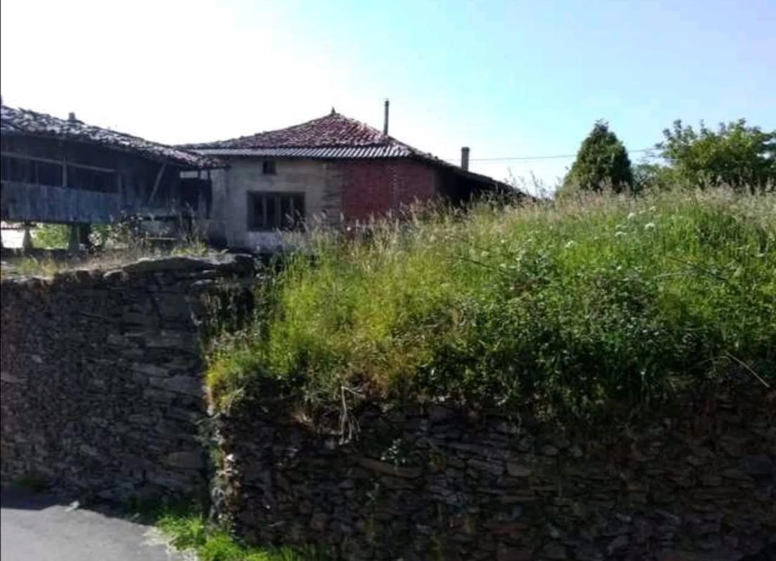Venta de finca rústica en Francos s/n , Tineo photo 3