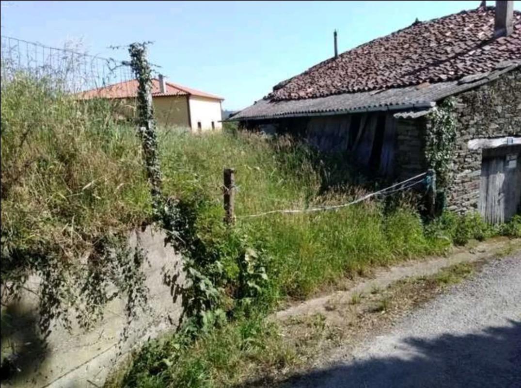 Venta de finca rústica en Francos s/n , Tineo photo 5