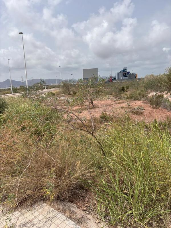 Terreno en venta en Puerto de Sagunto, Valencia photo 3