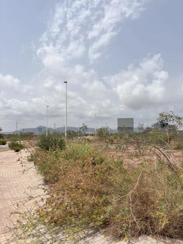 Terreno en venta en Puerto de Sagunto, Valencia photo 4