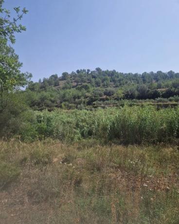 Terreno en Segart photo 1