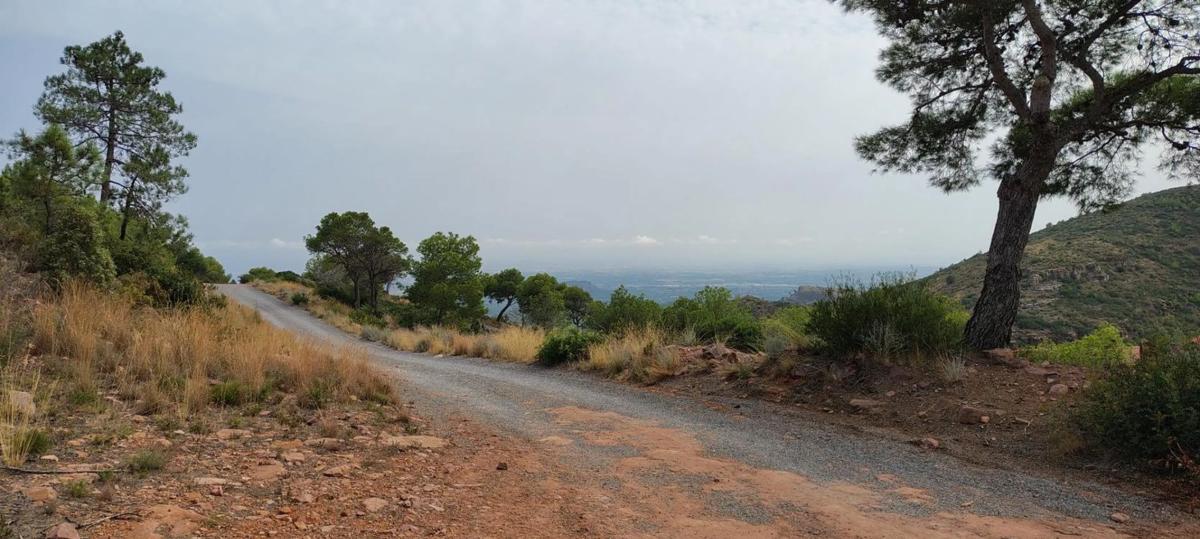 Land for sale in Segart, Valencia photo 2
